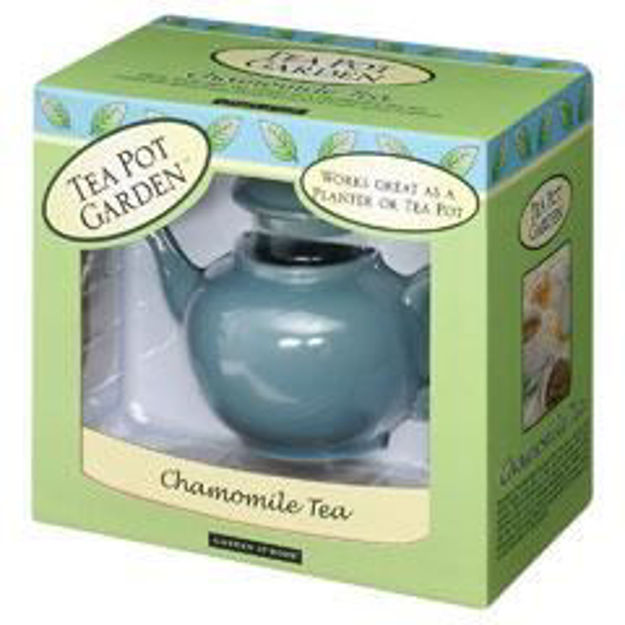 Picture of Tea Pot Garden - Chamomile Tea (Bargain Bin)